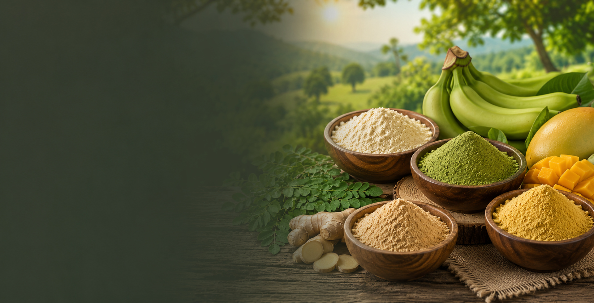 Organic Food